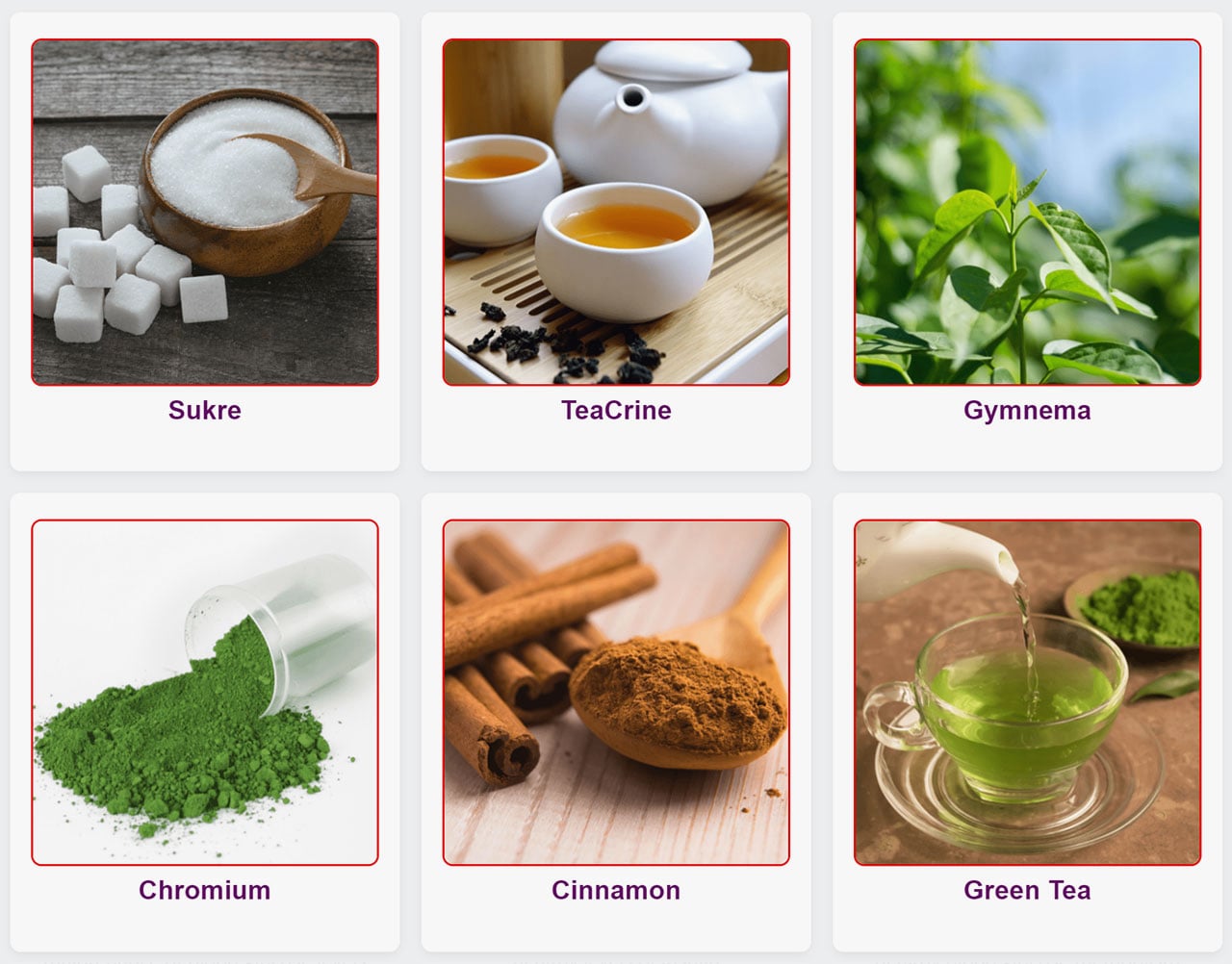 Gluco 6 - ingredients